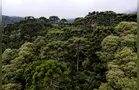 Reservas naturais impactam no desenvolvimento econômico da região