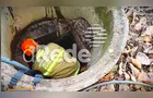 Bombeiros resgatam cão que caiu em bueiro em Telêmaco Borba