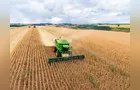 Agro avança 10% em um ano e sustenta PIB, apesar de queda trimestral