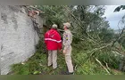 PG registra quatro quedas de árvore durante temporal nesta segunda