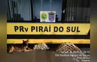 Dois são presos ao transportar mais de 20 kg de maconha em ônibus na PR-151