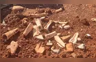 Fotos revelam detalhes de ossada encontrada em Ponta Grossa