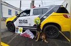 Mulher é presa com quase 25 kg de maconha em ônibus, em Fernandes Pinheiro