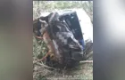 Jovem de 19 anos morre após saída de pista na PR-466 em Guarapuava
