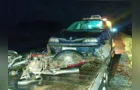 Motociclista sofre ferimentos moderados em colisão frontal na PR-090