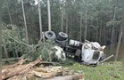Caminhão sai da pista, bate em árvores e tomba na PR-239 em Reserva