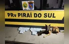 Cão farejador indica malas e PM apreende 14,498 kg de haxixe na PR-151