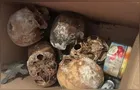 Crânios e ossos humanos são encontrados em apartamento de São Paulo