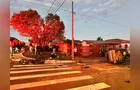 Confira imagens da colisão violenta na 'Vila Cipa' em PG