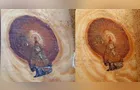 Imagem de Nossa Senhora Aparecida surge em tronco de árvore: ‘Ficamos emocionados’
