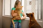Seu cachorro “morre” de ciúmes de você? Veja por que e como resolver