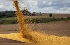 Conab projeta safra recorde de 354,7 milhões de toneladas de grãos em 2025/26