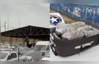 Jovem flagrado tentando fugir da Receita Federal correndo sobre carros no PR