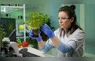 Confira vaga para pesquisador em biologia vegetal e outras para esta quarta-feira