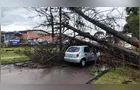 Tempestade: ventos chegaram a 77 km/h em Curitiba e Região Metropolitana