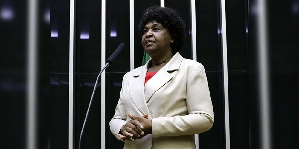 A deputada discursou na tribuna da Câmara dos Deputados