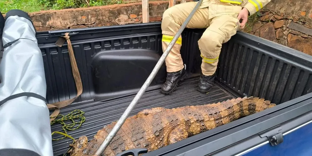Equipes da Defesa Civil e do Corpo de Bombeiros de Bandeirantes foram acionadas