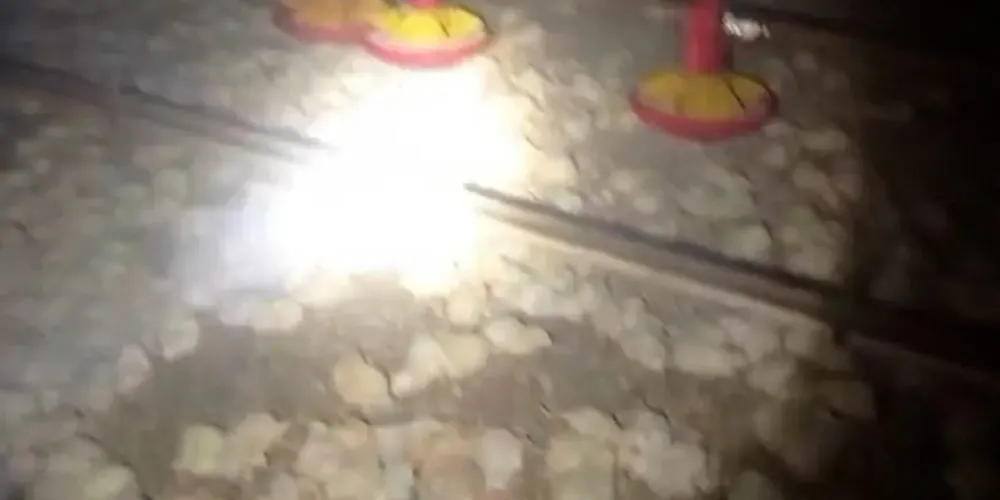 Bombeiros trabalharam para conter as chamas e impedir que se espalhassem para outras construções