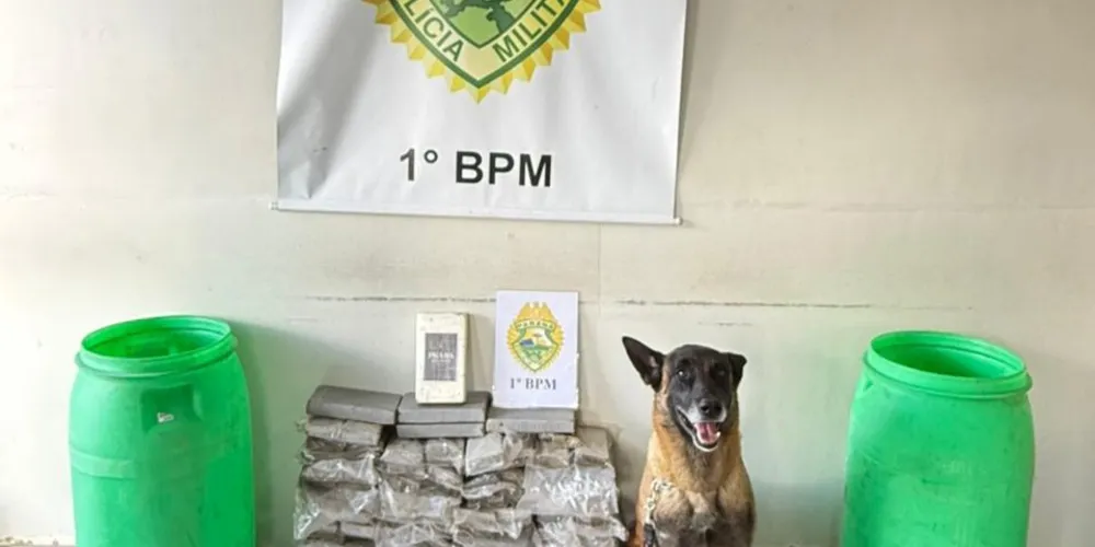 Equipe da Polícia Militar apreendeu os entorpecentes com o uso de cão policial
