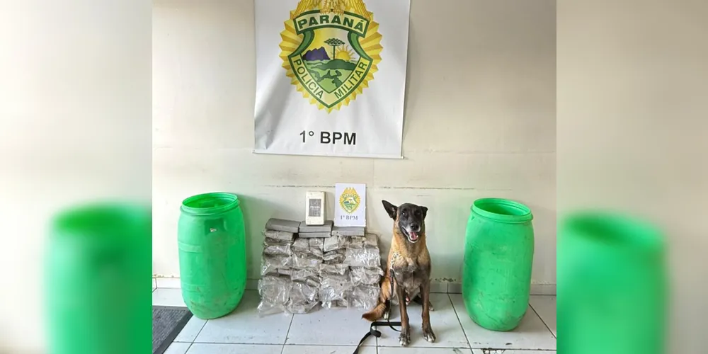 Equipe da Polícia Militar apreendeu os entorpecentes com o uso de cão policial