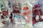 Quadrigêmeos nascem no Paraná após fertilização in vitro