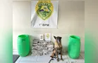Polícia encontra mais de 50 kg de drogas em veículo no 'Chapada', em Ponta Grossa