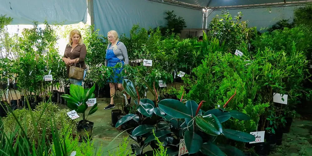 O evento traz um diferencial importante: a comercialização será feita exclusivamente por empreendedores de Tibagi