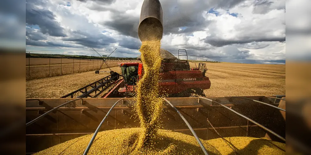 No Paraná, um dos principais polos produtores do país, adversidades climáticas recentes, como geadas e tornados, afetaram parte das lavouras