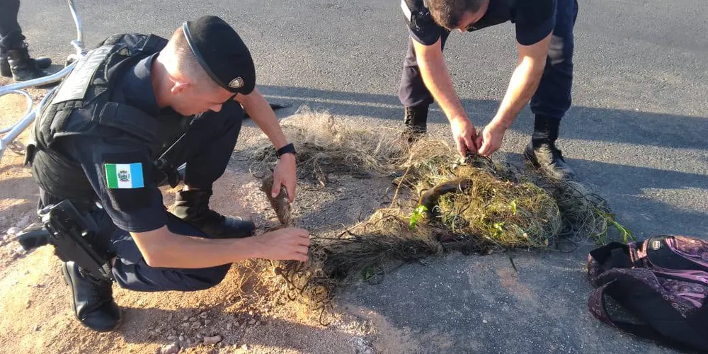 O material apreendido foi recolhido e encaminhado para a base da Guarda Municipal