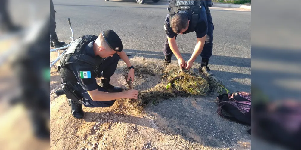 O material apreendido foi recolhido e encaminhado para a base da Guarda Municipal