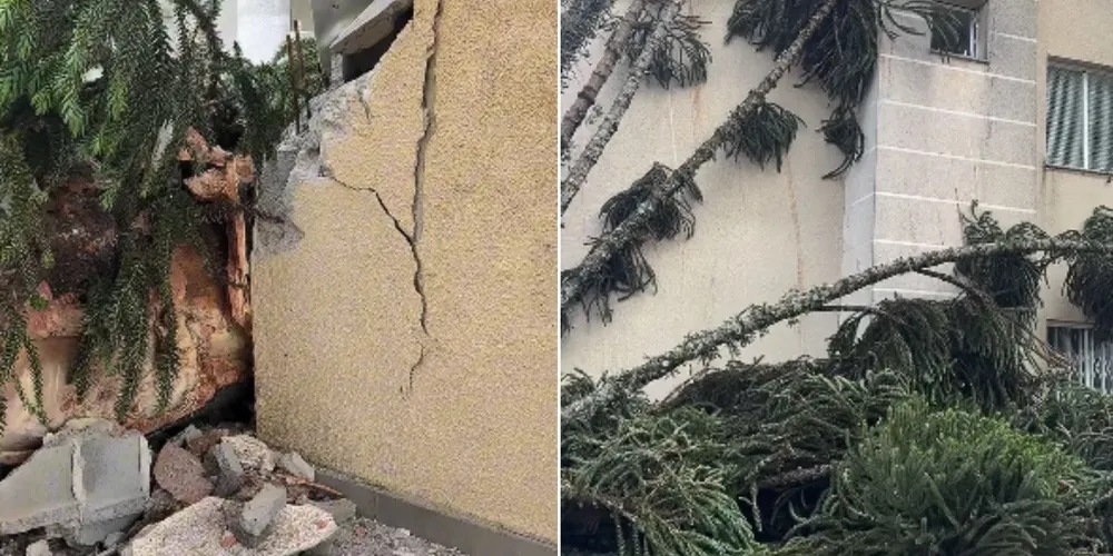 Prefeitura informou que não pode realizar a retirada em propriedade particular