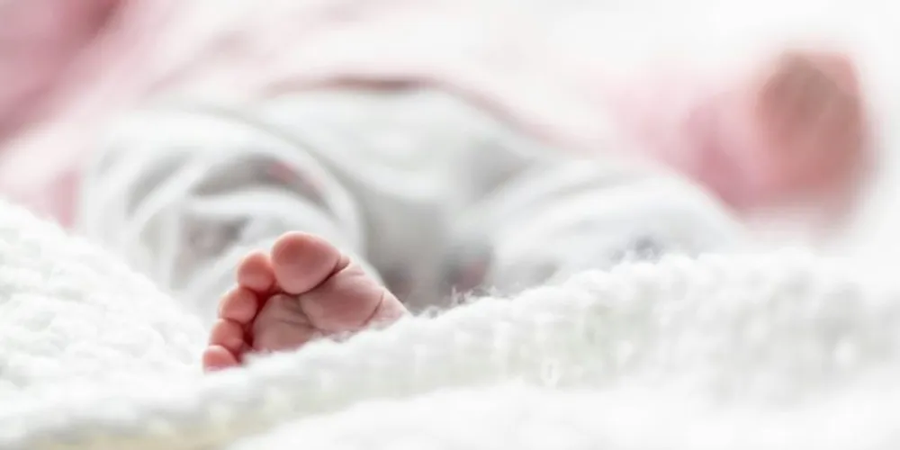 O caso ocorreu em Arapongas, no norte do Paraná