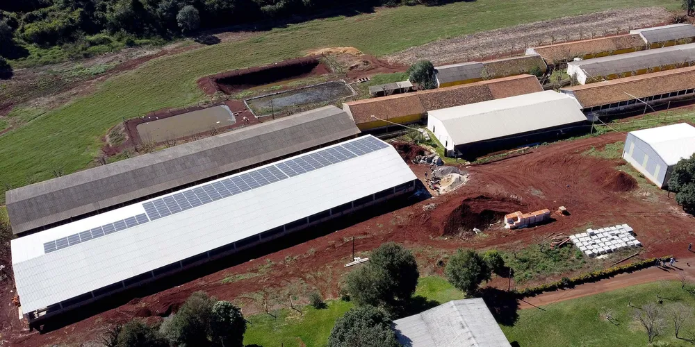 Maior parte das iniciativas contempladas envolve energia renovável e modernização dos processos da pecuária de leite e de corte