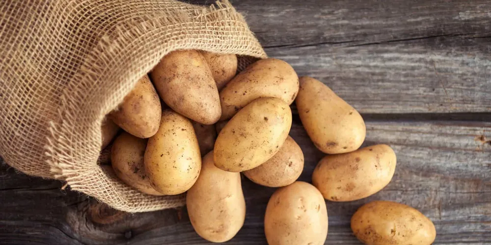 Resultado chama atenção especialmente porque interrompe a sequência de quedas registrada no grupo de alimentos e bebidas