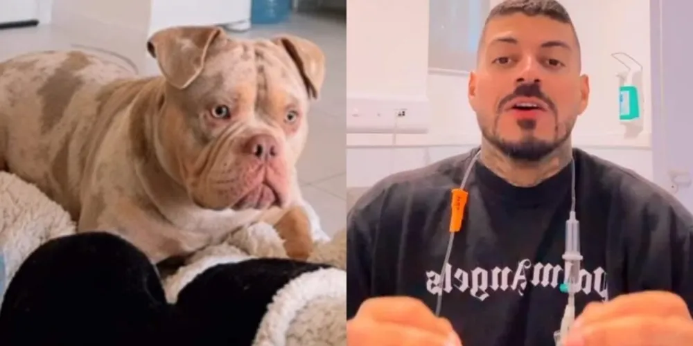 O influenciador Matheus Vandré e seu cachorro