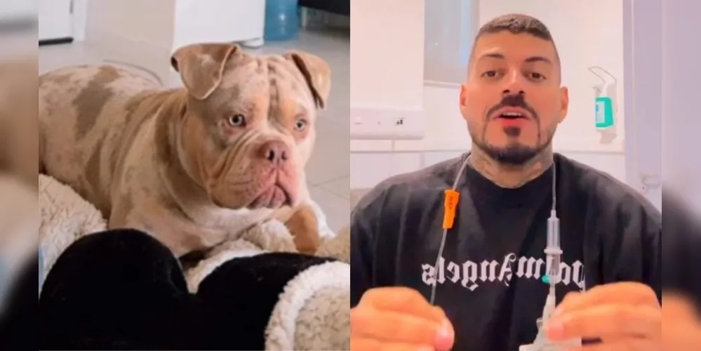 O influenciador Matheus Vandré e seu cachorro