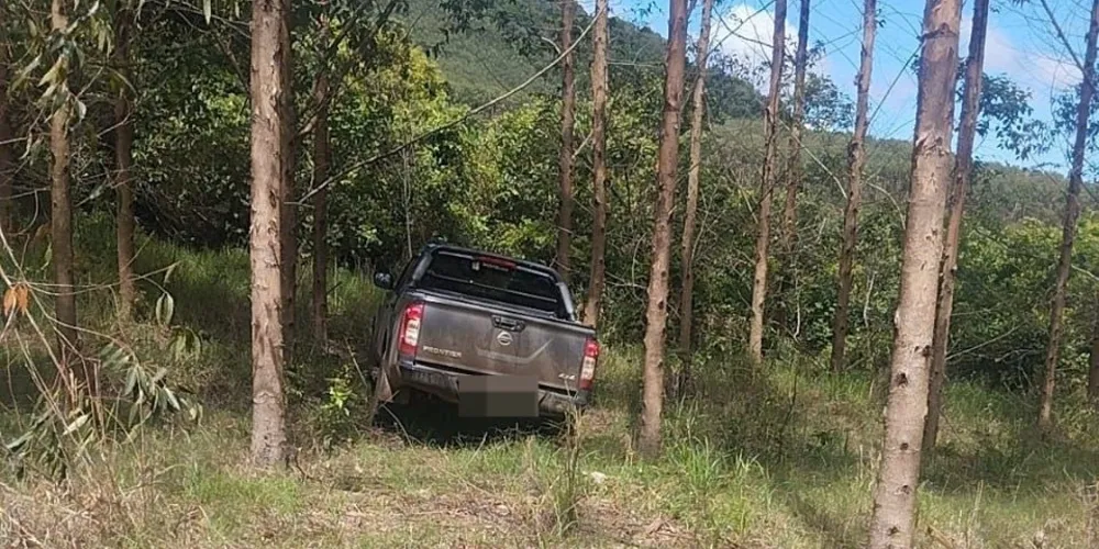 Carro foi encrostado em uma área de mata