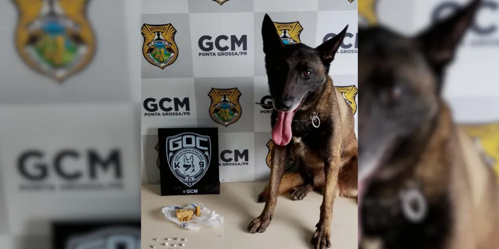 Drogas foram apreendidas