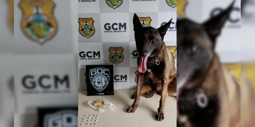 Drogas foram apreendidas