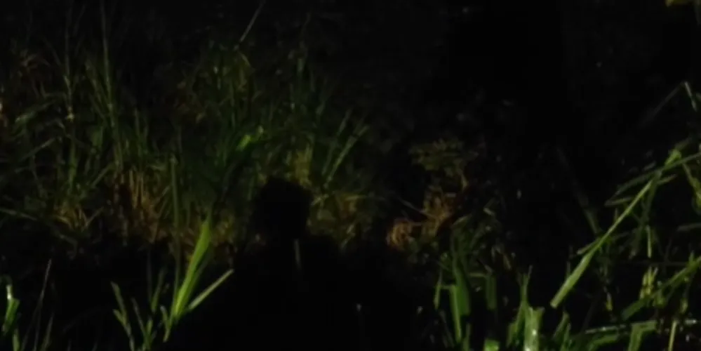 Acidente aconteceu ao lado do Núcleo Costa Rica