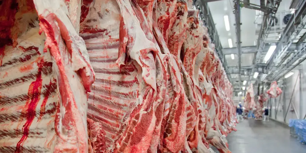 China mantém liderança na compra de carne bovina brasileira