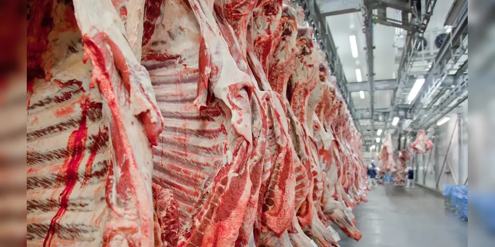 China mantém liderança na compra de carne bovina brasileira