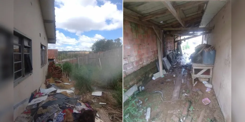 Residência acumula ratos, baratas e escorpiões