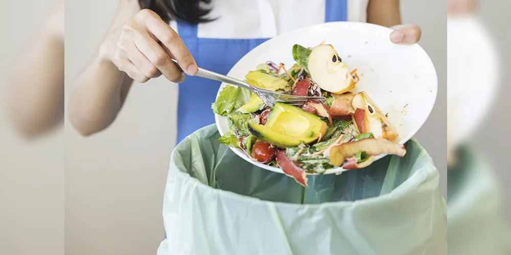 Proposta institui a Política Municipal de Combate à Perda e ao Desperdício de Alimentos (PMCPDA) e cria o selo 'Doador de Alimentos'