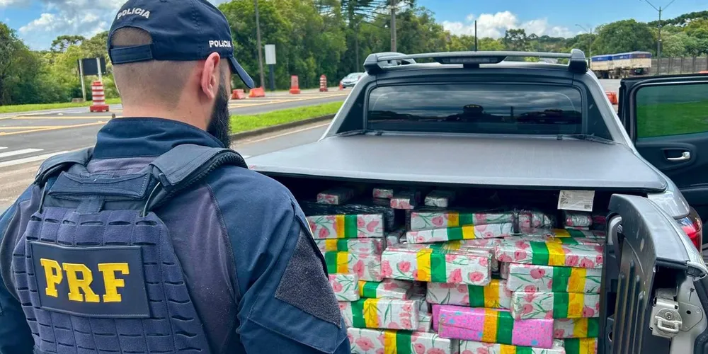 Foram apreendidos mais de 600 quilos de maconha