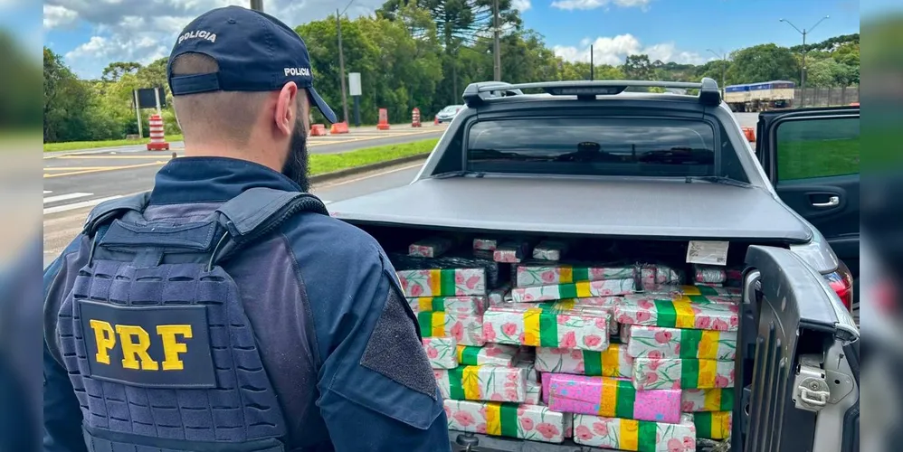 Foram apreendidos mais de 600 quilos de maconha