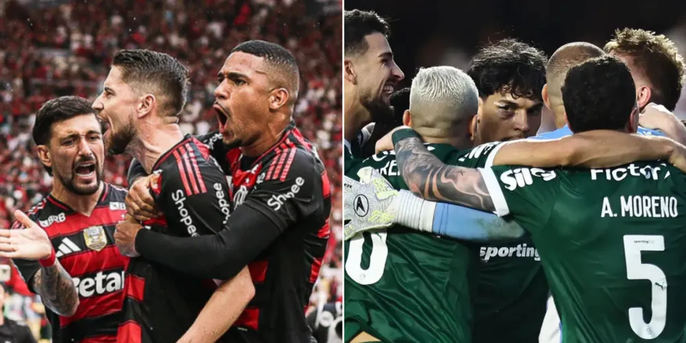 Flamengo e Palmeiras disputam o título do Brasileirão 2025