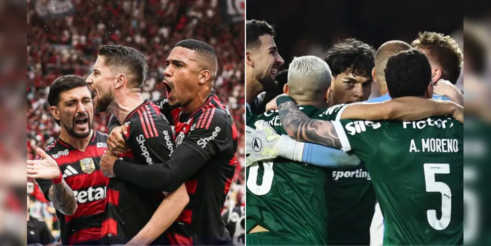 Flamengo e Palmeiras disputam o título do Brasileirão 2025