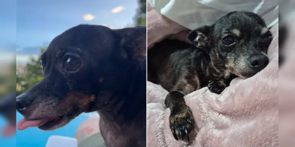 'Tuquinha' tem 14 anos de idade