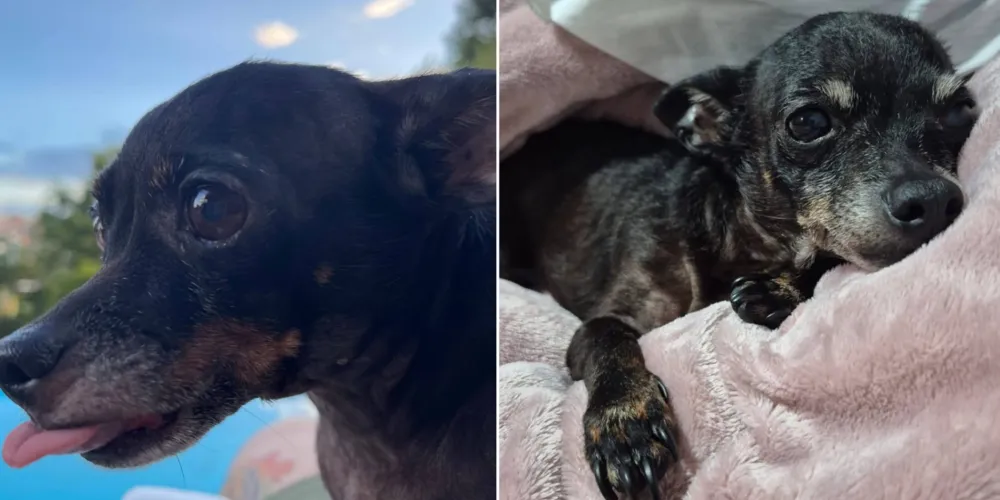 Tuquinha tem 14 anos de idade